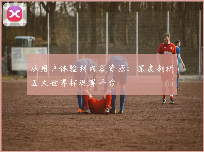 从用户体验到内容资源：深度剖析五大世界杯观赛平台