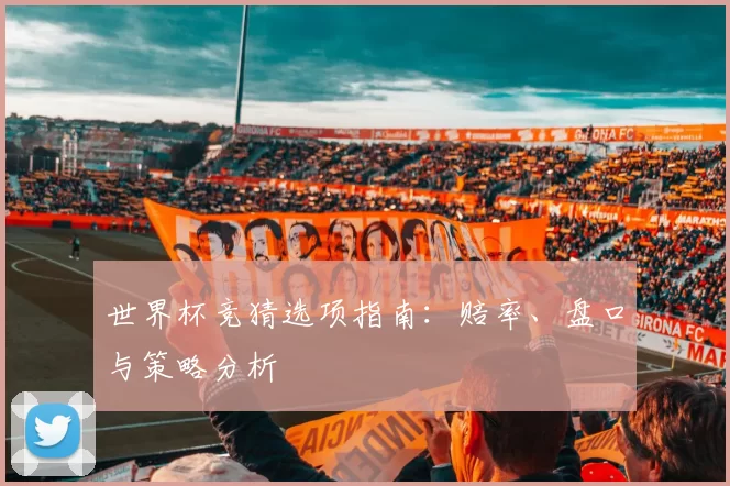 世界杯竞猜选项指南:赔率、盘口与策略分析