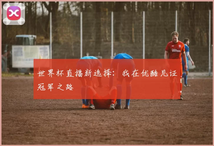 世界杯直播新选择：我在优酷见证冠军之路