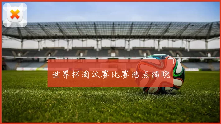世界杯淘汰赛比赛地点揭晓