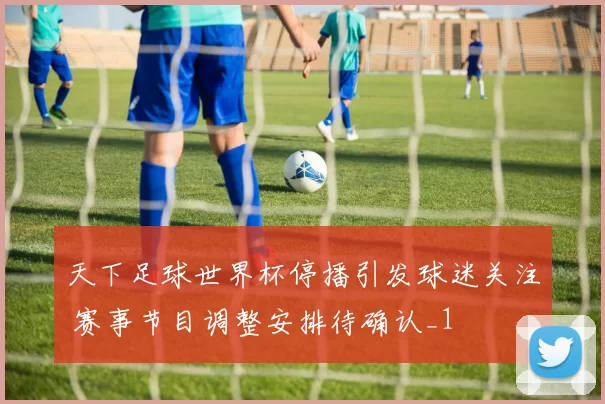 天下足球世界杯停播引发球迷关注 赛事节目调整安排待确认_1