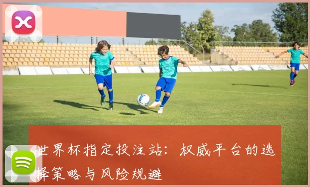 世界杯指定投注站：权威平台的选择策略与风险规避