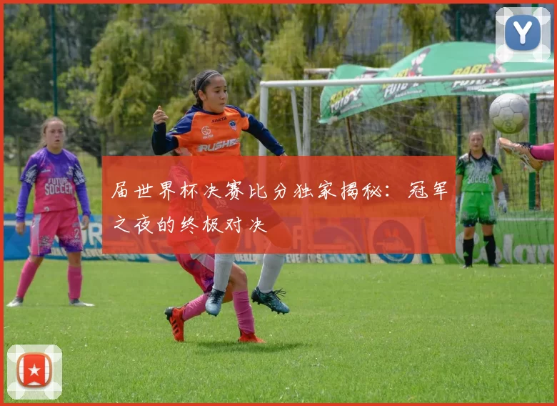 届世界杯决赛比分独家揭秘：冠军之夜的终极对决