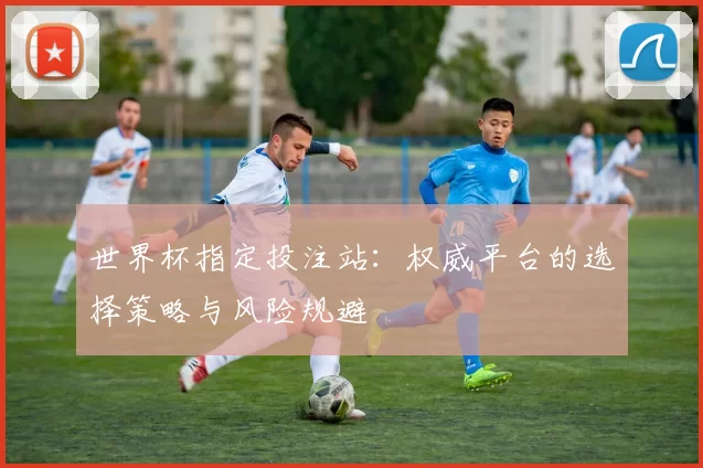 世界杯指定投注站：权威平台的选择策略与风险规避